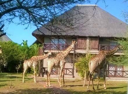 Rhulani Kruger Villa Marloth Park Luaran gambar